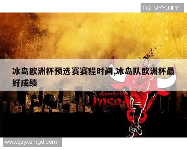 冰岛队在欧洲杯历史上的辉煌表现与挑战分析