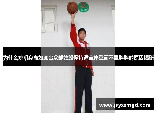 为什么姚明身高如此出众却始终保持适宜体重而不显胖胖的原因揭秘