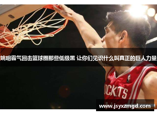 姚明霸气回击篮球圈那些低级黑 让你们见识什么叫真正的巨人力量