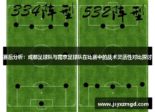 赛后分析：成都足球队与南京足球队在比赛中的战术灵活性对比探讨