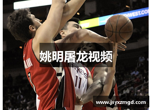 姚明屠龙视频